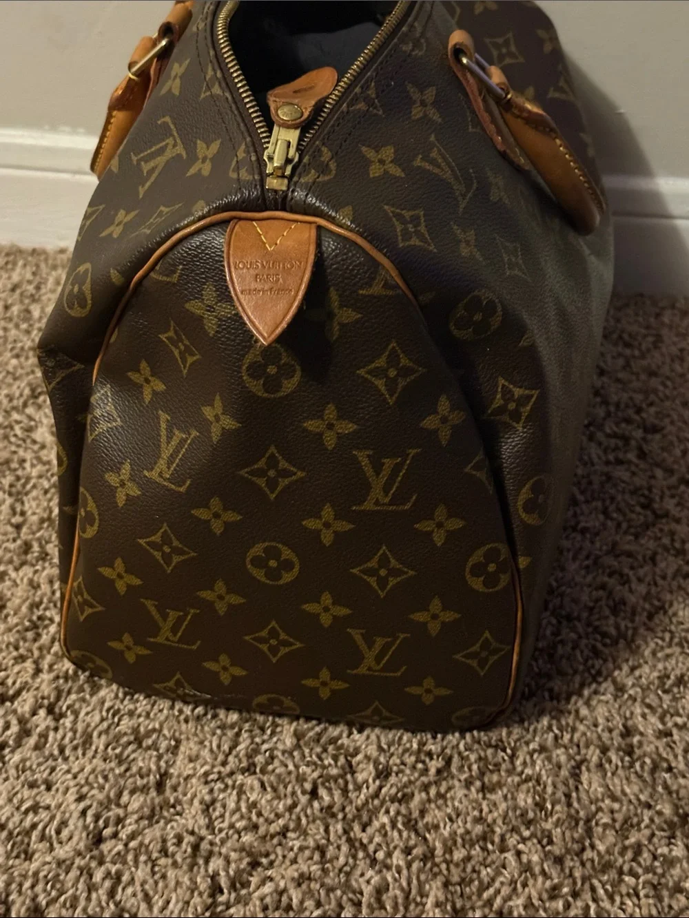 Louis Vuitton Monogram Canvas Speedy Tote in Brown and Tan